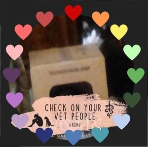 Meet your Posher, Leslie